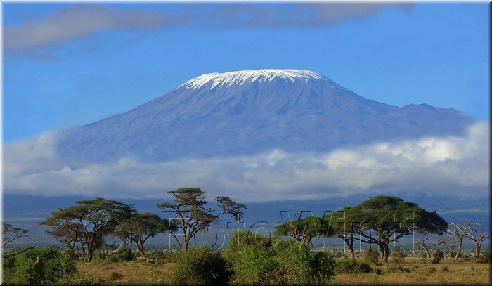 Kilimanjaro3.jpg