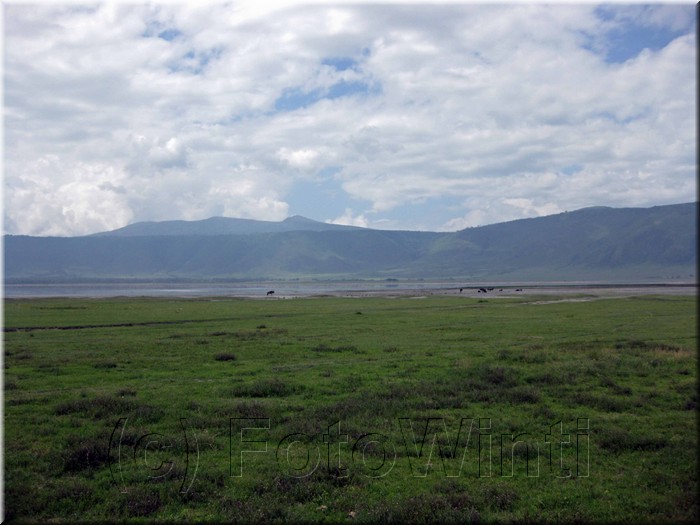 Ngorongoro crater2.jpg