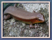 naturfotos007004.jpg